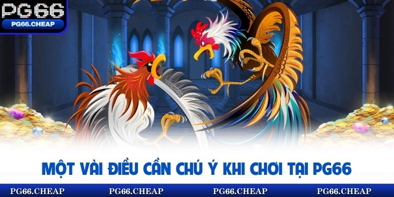 Một vài điều cần chú ý khi chơi tại pg66